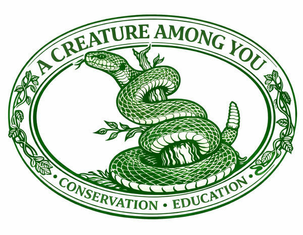 A Creature Among You